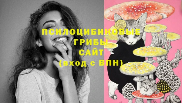 мдма Магас