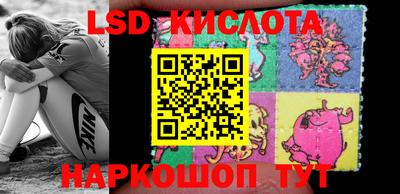 крисы Бийск