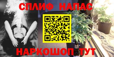 крисы Бийск