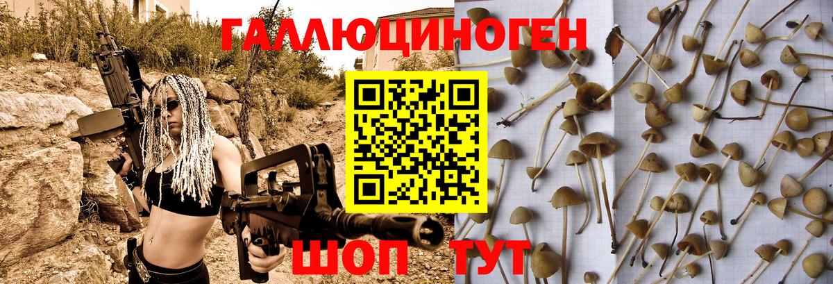 Галлюциногенные грибы Psilocybe  Вход с VPN  Майкоп 