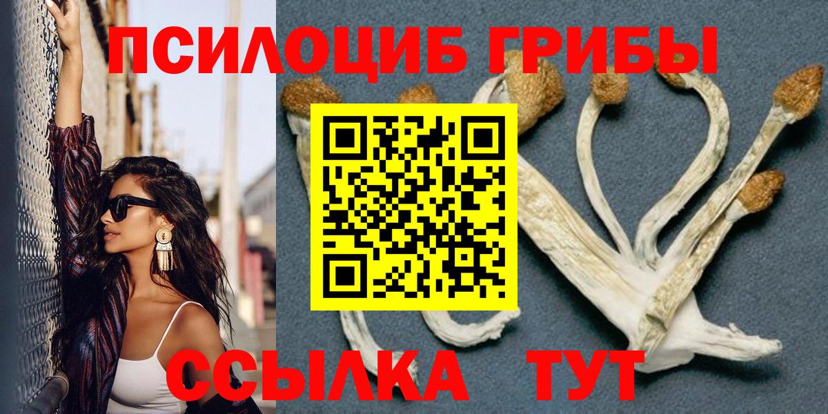 Галлюциногенные грибы Psilocybine cubensis Майкоп