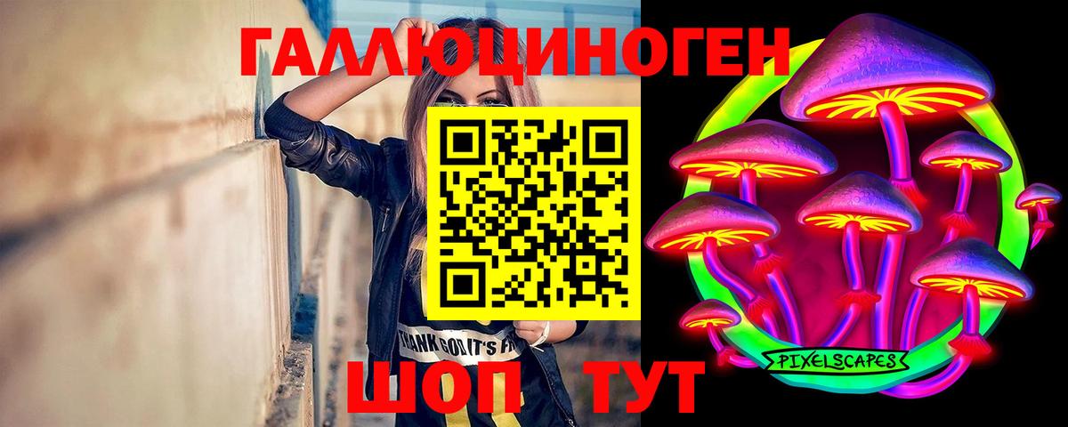 Псилоцибиновые грибы прущие грибы Майкоп